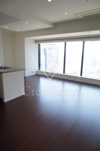 シティタワーズ豊洲ザ・ツイン サウスタワー