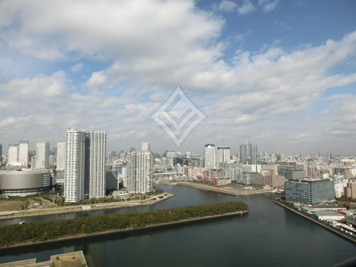 シティタワー有明