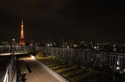 六本木デュープレックスタワー