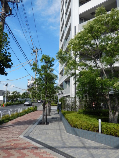 パークホームズ清澄白河