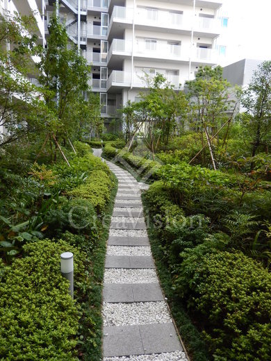 パークホームズ清澄白河