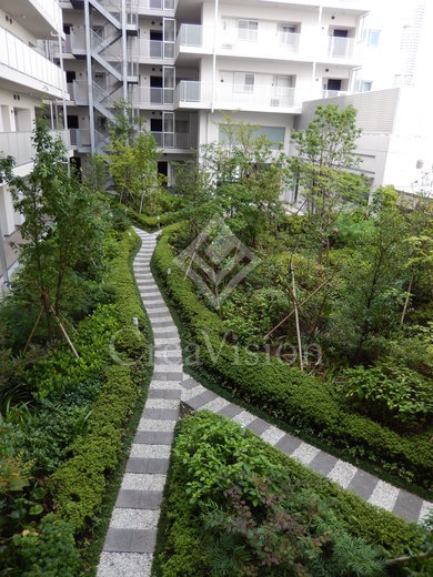 パークホームズ清澄白河