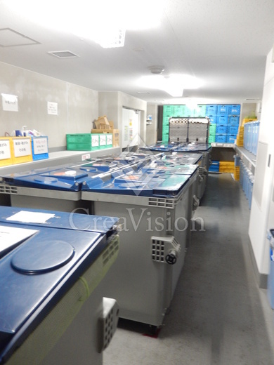 パークホームズ清澄白河