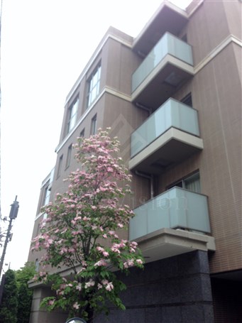 スタイルハウス西麻布