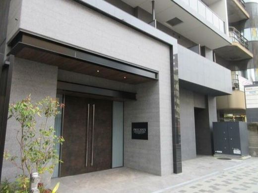 プレシャス川崎ブリシアコート