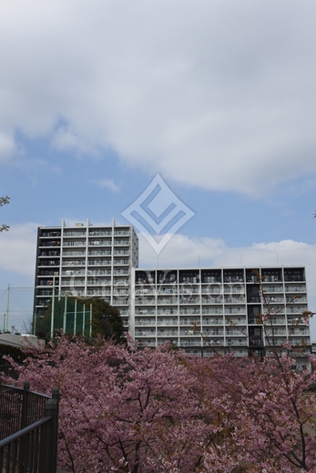 パークキューブ西ヶ原ステージ