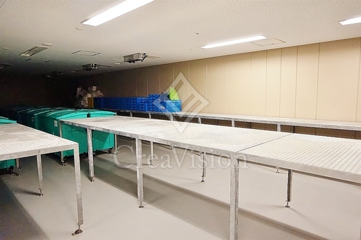 パークアクシス豊洲キャナル