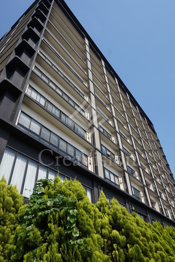 theSOHO (ザソーホー)