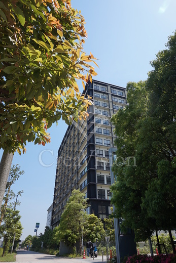 theSOHO (ザソーホー)