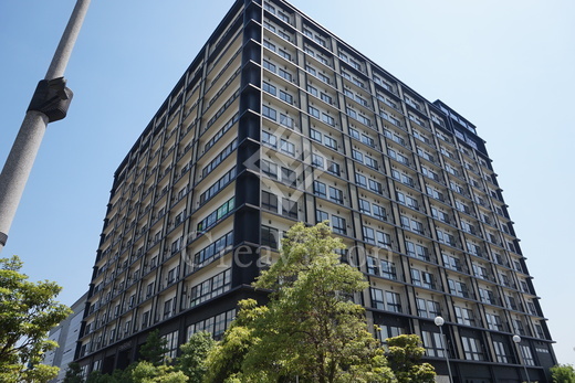 theSOHO (ザソーホー)