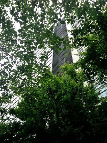 千鳥ヶ淵ハウス