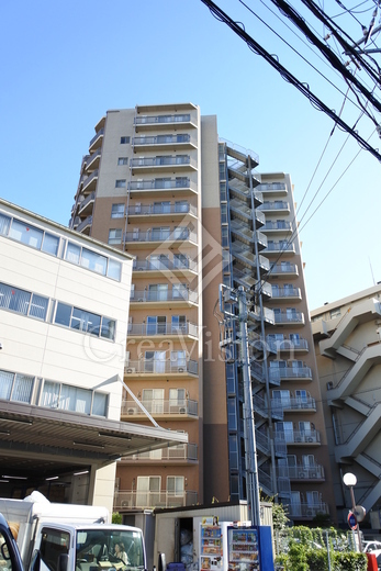 プロスペクト清澄庭園