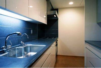 パークハウス島津山