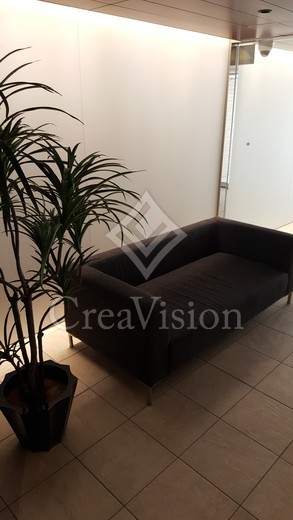 カスタリア本駒込