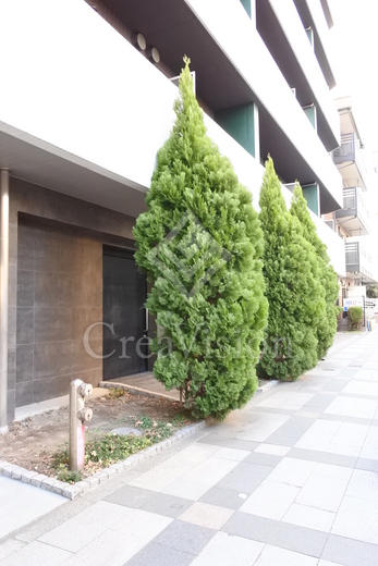 LaSante錦糸町