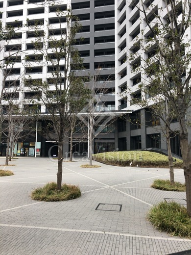 勝どきザ・タワー