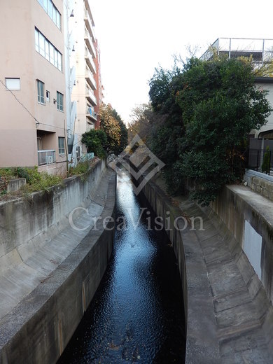 ルシェーヌ恵比寿