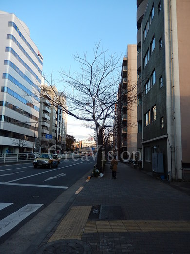 ルシェーヌ恵比寿