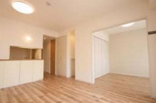 プランシェードメイツ白金