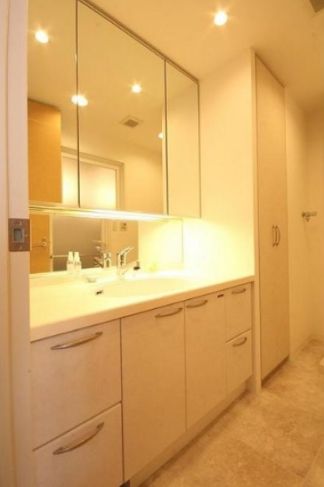 プランシェードメイツ白金