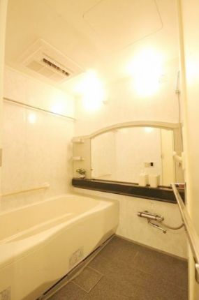 プランシェードメイツ白金