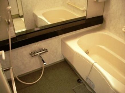 プランシェードメイツ白金