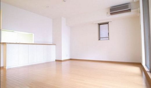 プランシェードメイツ白金