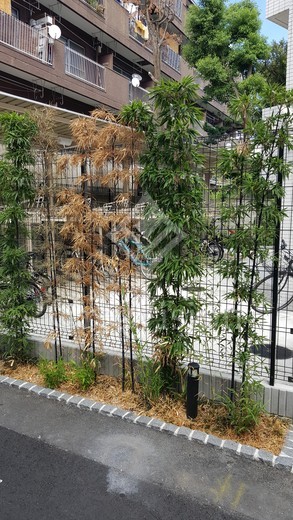 ジェノヴィア麻布十番グリーンヴェール
