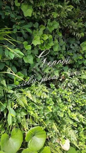 ジェノヴィア麻布十番グリーンヴェール