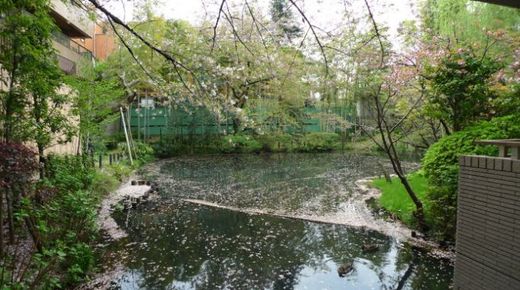 ウィンザーハウス元麻布