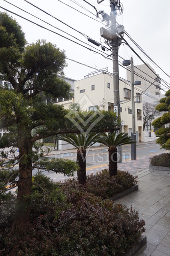 レビスタ白金高輪