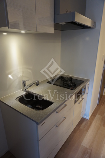 レビスタ白金高輪