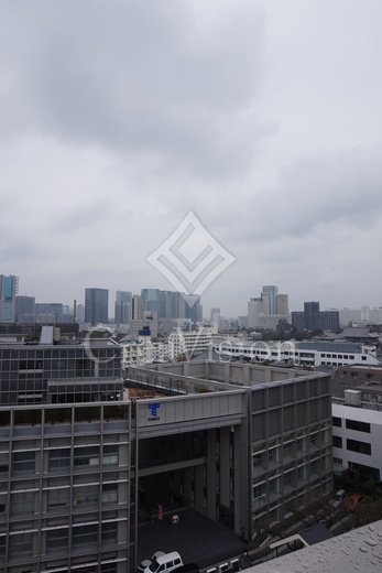 レビスタ白金高輪