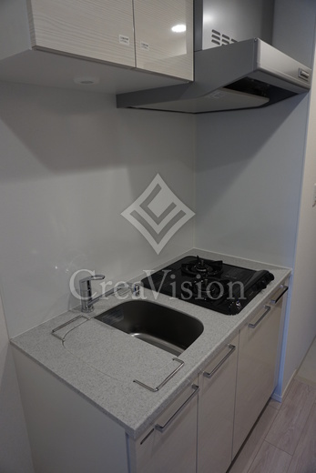 レビスタ白金高輪