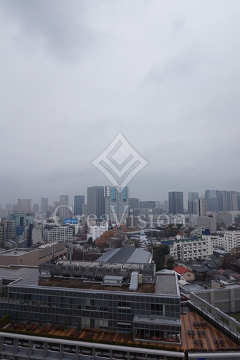 レビスタ白金高輪