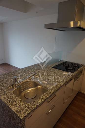 レビスタ白金高輪