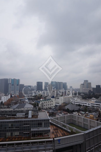 レビスタ白金高輪