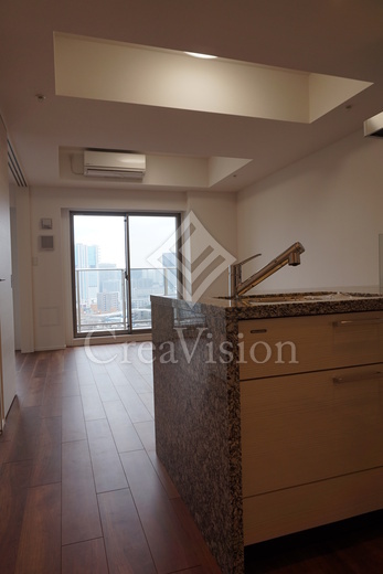 レビスタ白金高輪