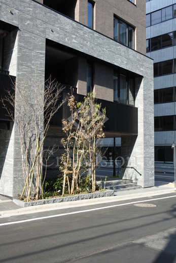 レフィール半蔵門