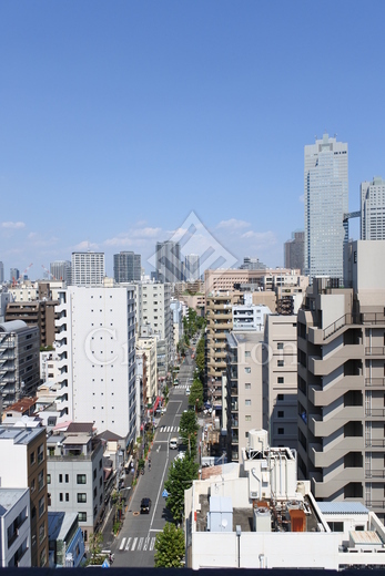 ドムス・スタイル銀座東