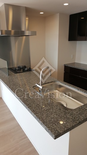 ブリリアザ・タワー東京八重洲アベニュー