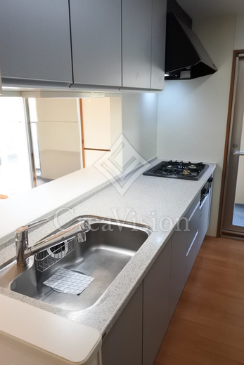 ロイヤルパークス新田