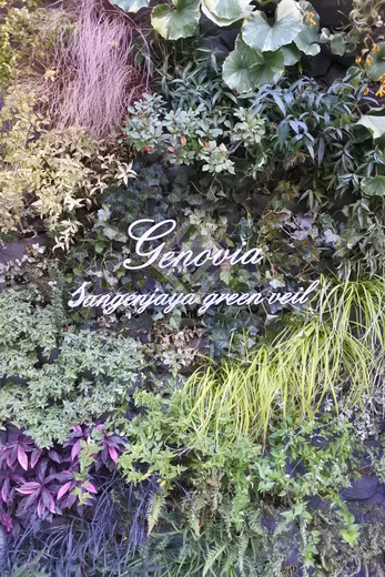 ジェノヴィア三軒茶屋グリーンヴェール