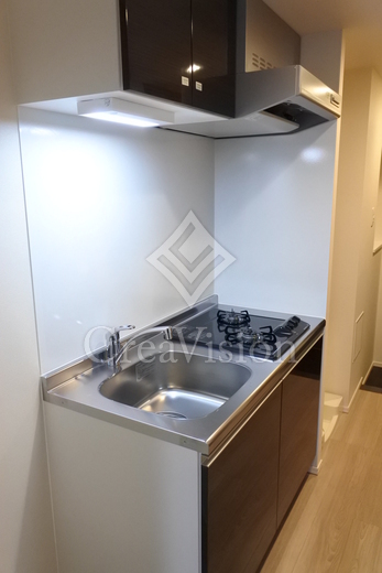 S-RESIDENCE錦糸町パークサイド (エスレジデンス錦糸町パークサイド)