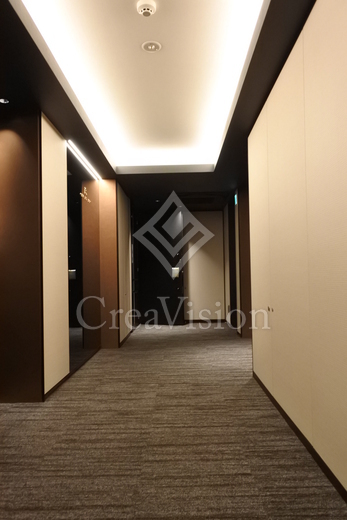 ミレアコート銀座プレミア