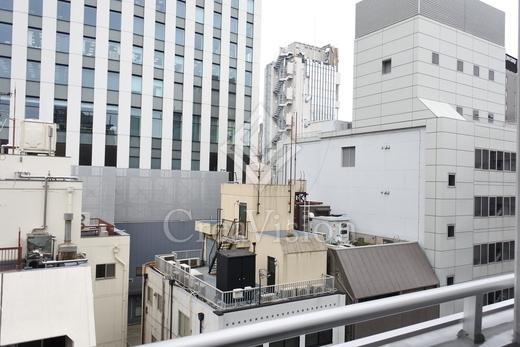 ミレアコート銀座プレミア