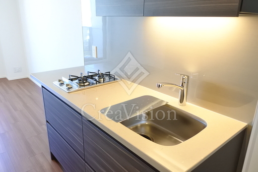 ザ・パークハビオ新宿