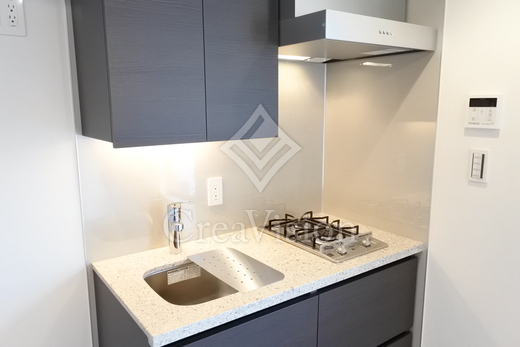 ザ・パークハビオ新宿