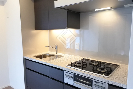 ザ・パークハビオ新宿