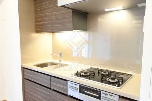 ザ・パークハビオ新宿